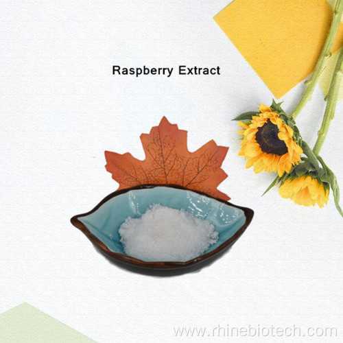 Raspberry Extract 98% Raspberry Ketone Powder